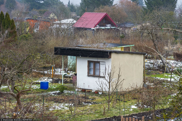 działka3